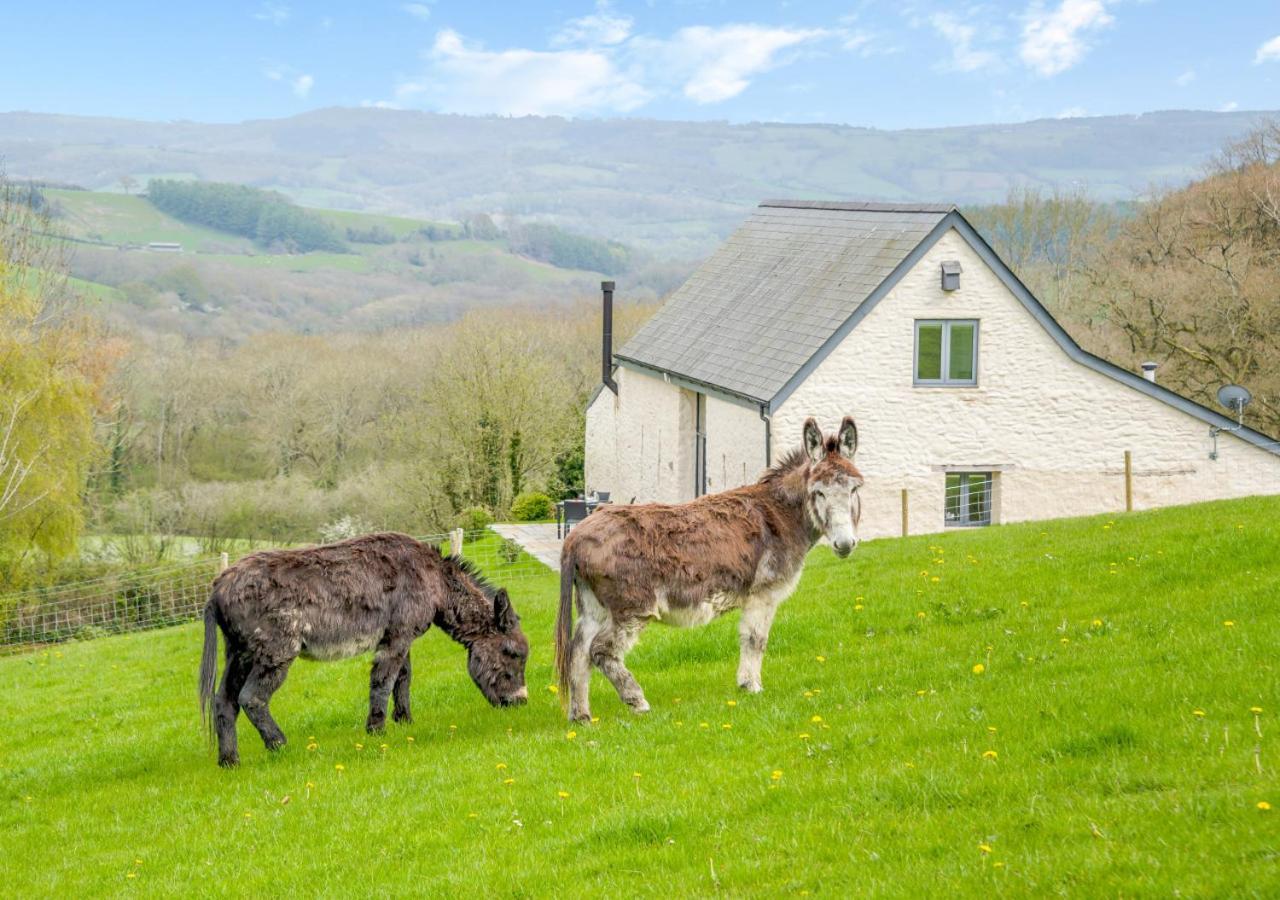 Apartament Usk Barn Llanbadoc Zewnętrze zdjęcie